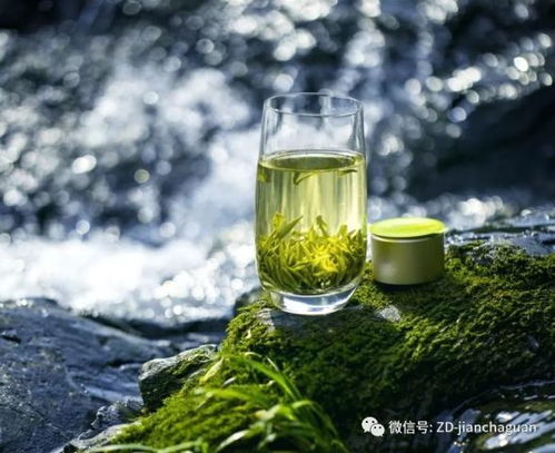 茶企锻造强大产品产品力的五大步骤